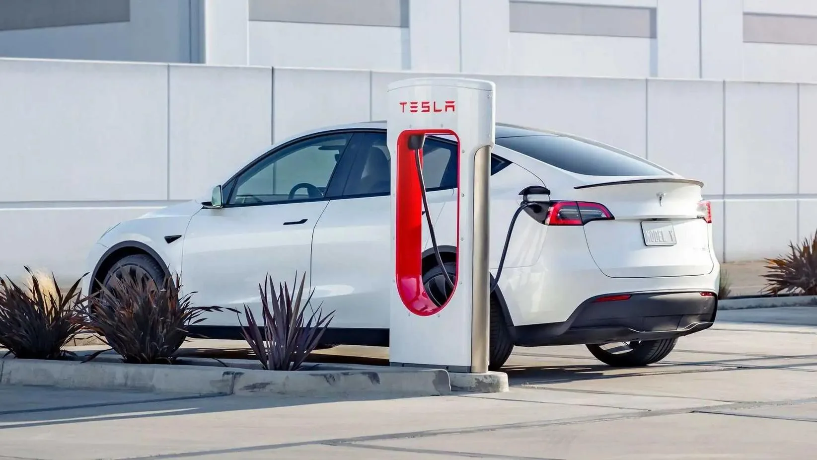 2024 Tesla model 3 Images, HD Photos and Pics 7 2024 Tesla model Y charger port images